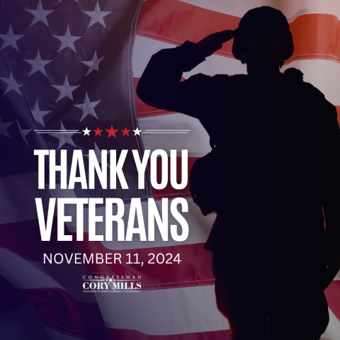 Veteran's Day Graphic